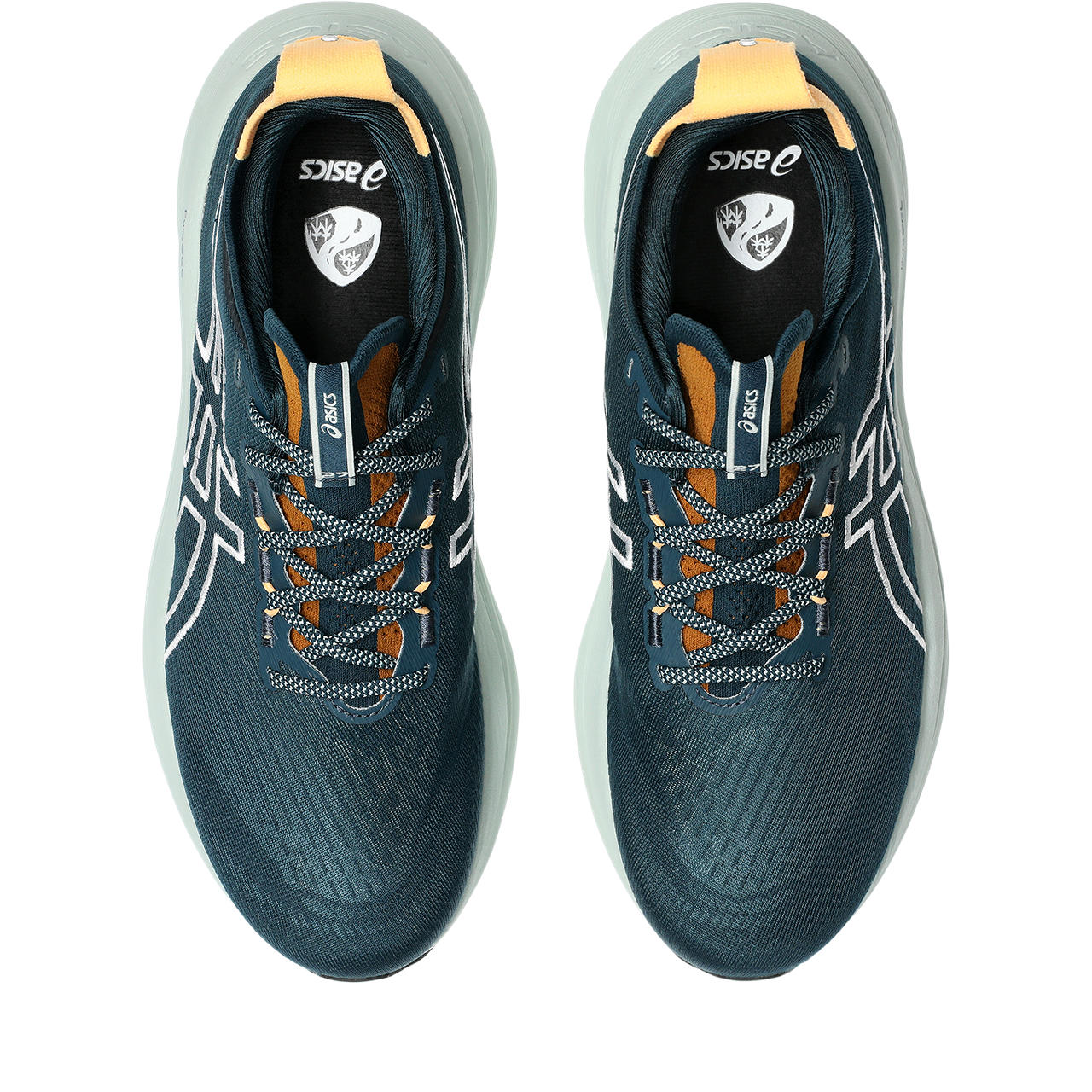 Mens Gel-Nimbus 27 Trail Shoe