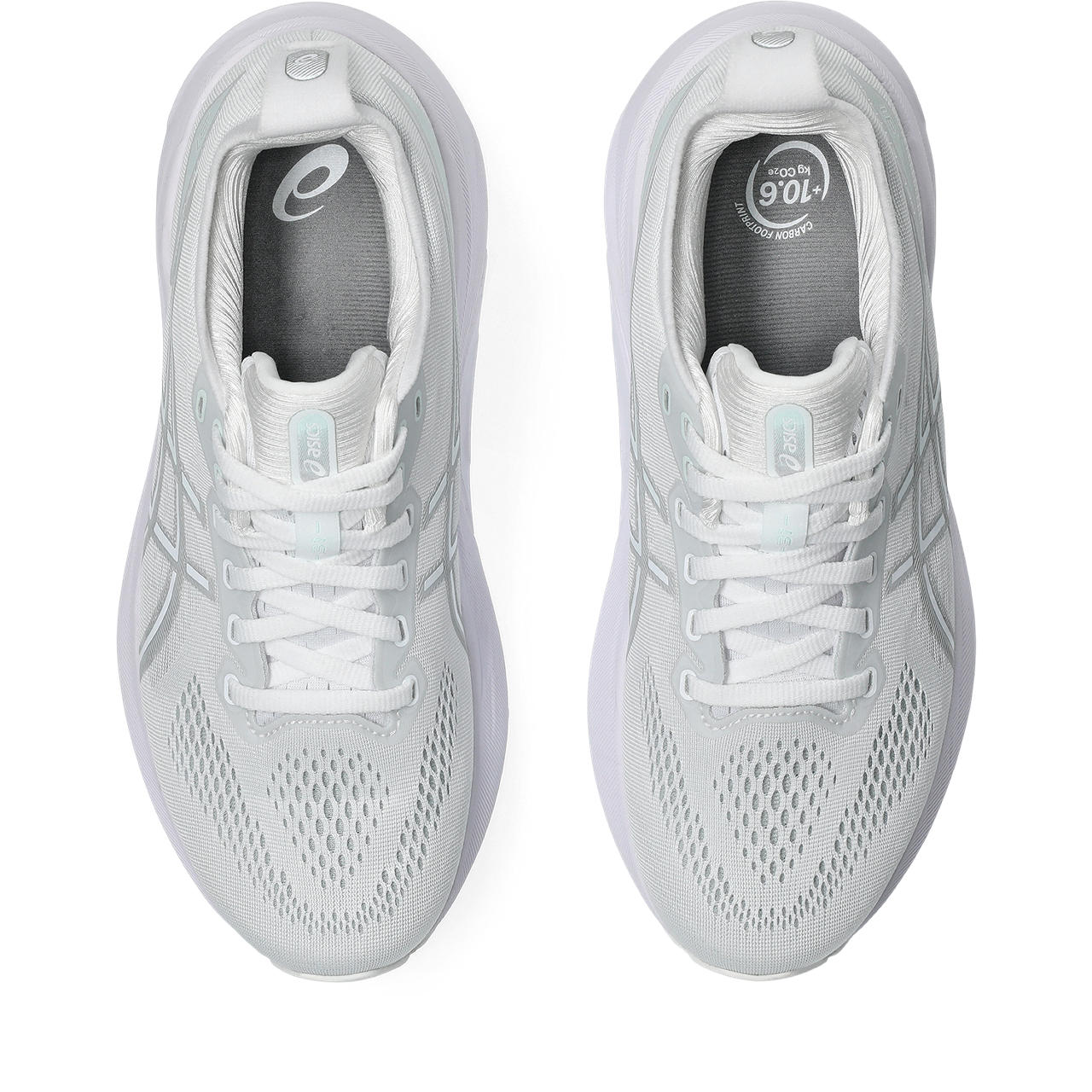 Womens Gel-Kayano 31 Running Shoe