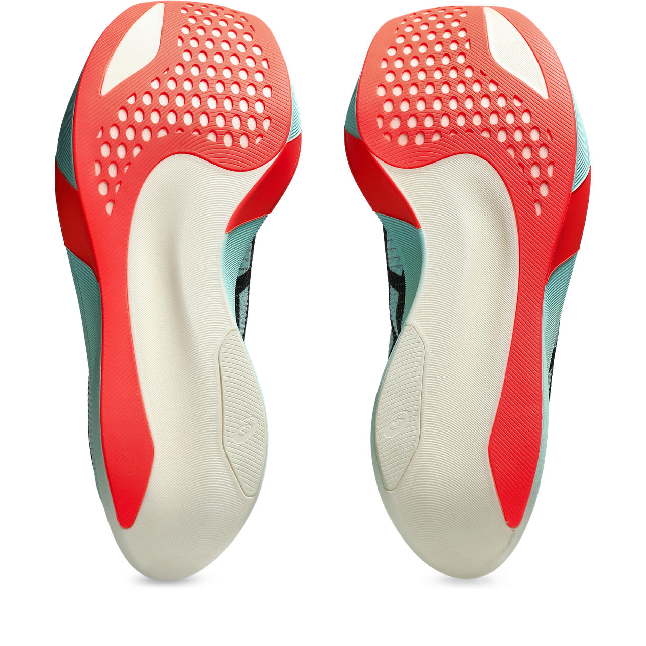 Mens Metaspeed Sky Paris Running Shoe
