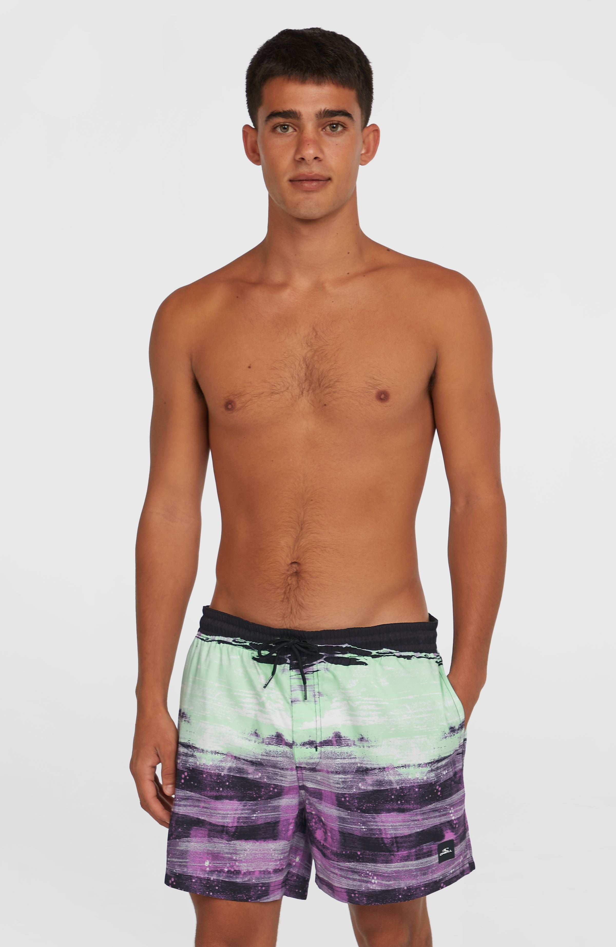 Mens Cali Gradient 14 Inch Swim Shorts
