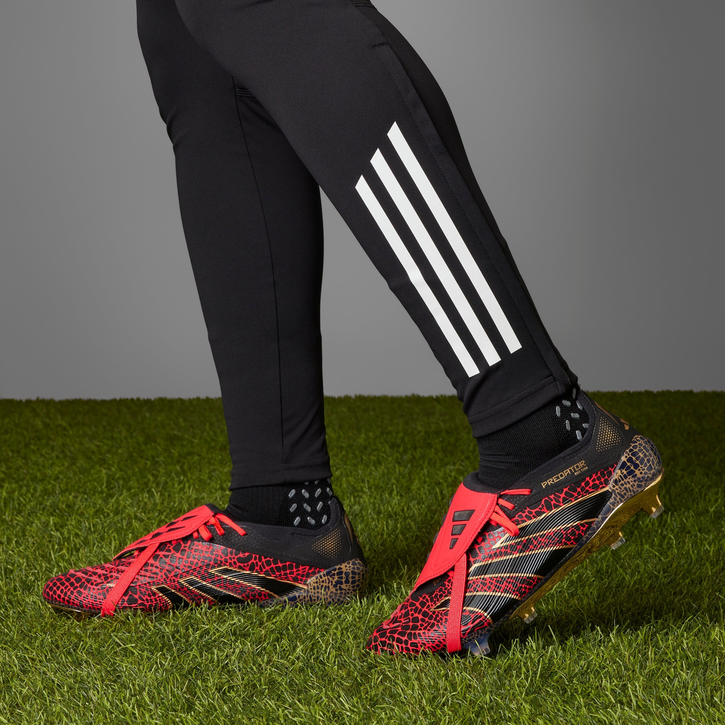 Predator Elite FT Firm Ground Boot