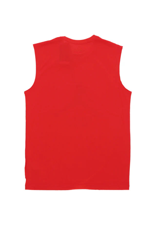 Mens Chicago Bulls Tank