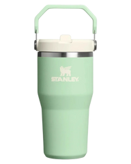 Iceflow Go Flipstraw Pistachio 20 Ounce Tumbler