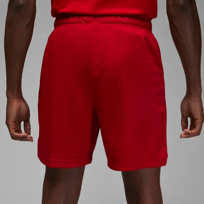 Mens Dri-Fit Mesh Shorts
