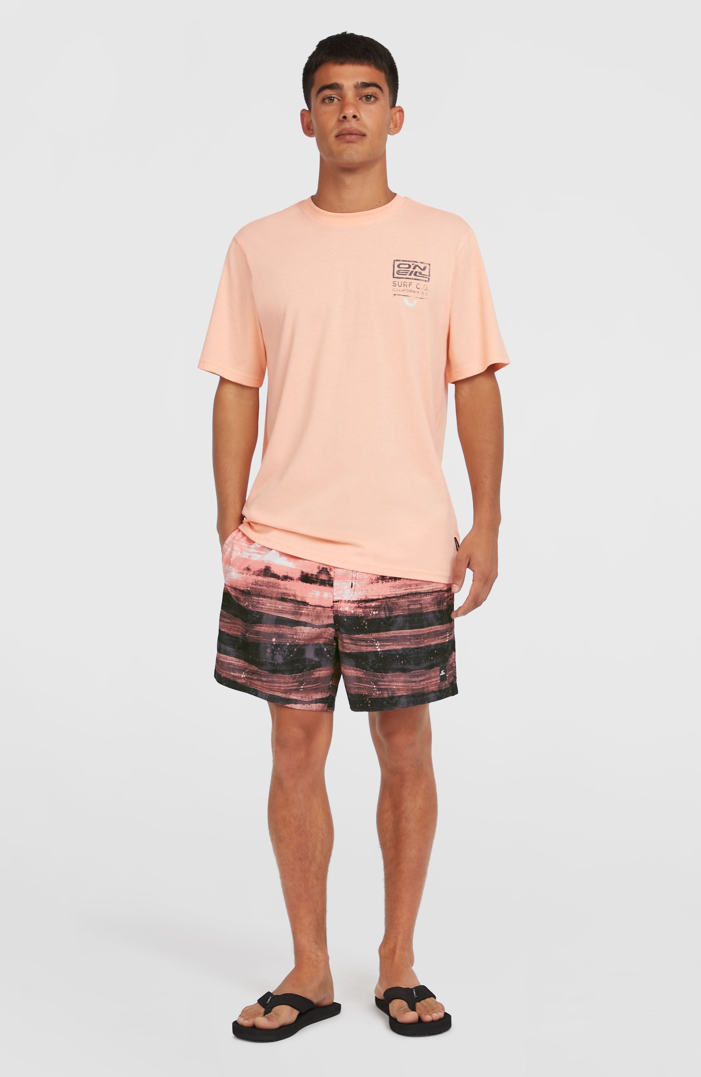 Mens Cali Gradient 14 Inch Swim Shorts