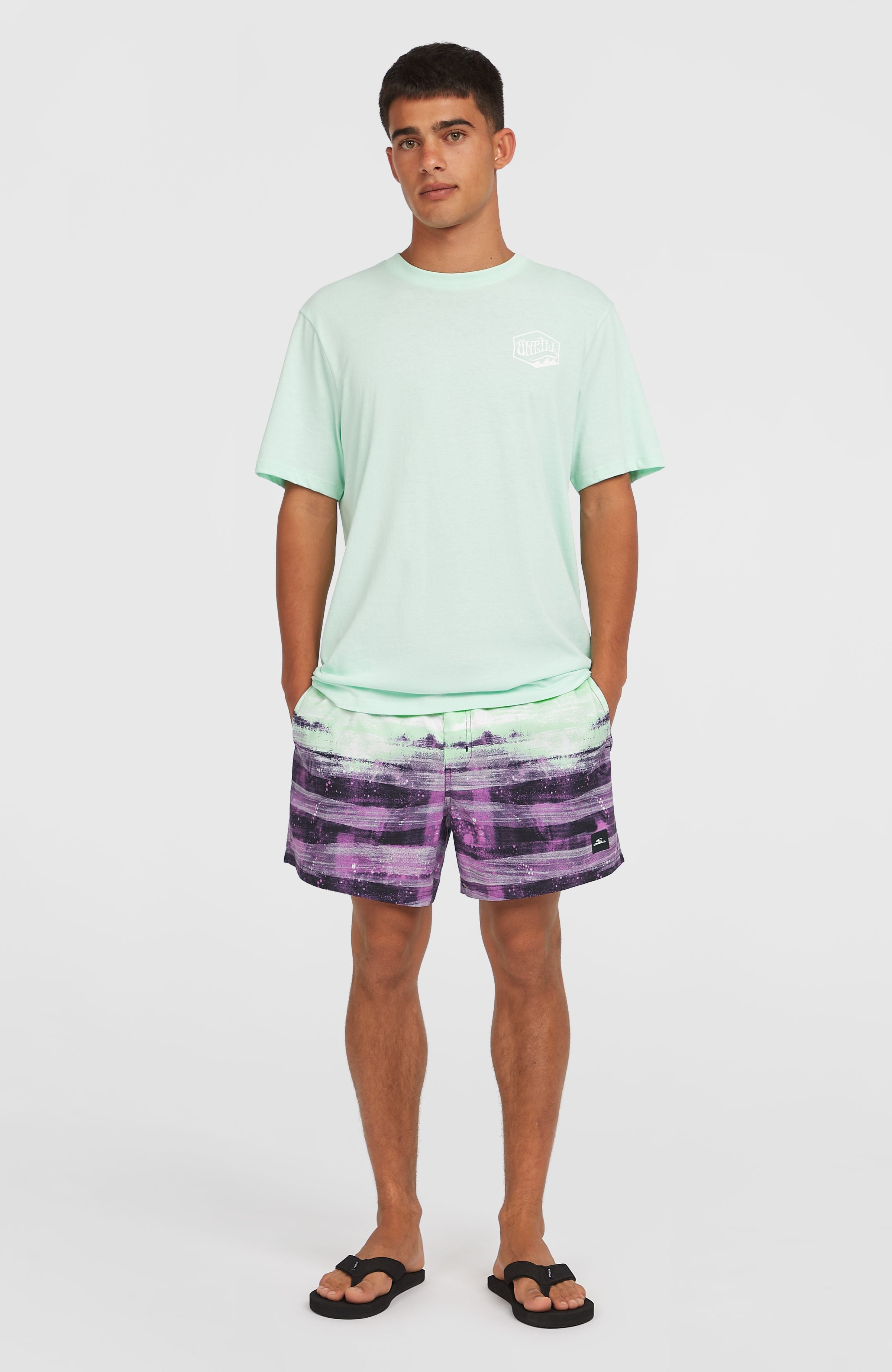 Mens Cali Gradient 14 Inch Swim Shorts