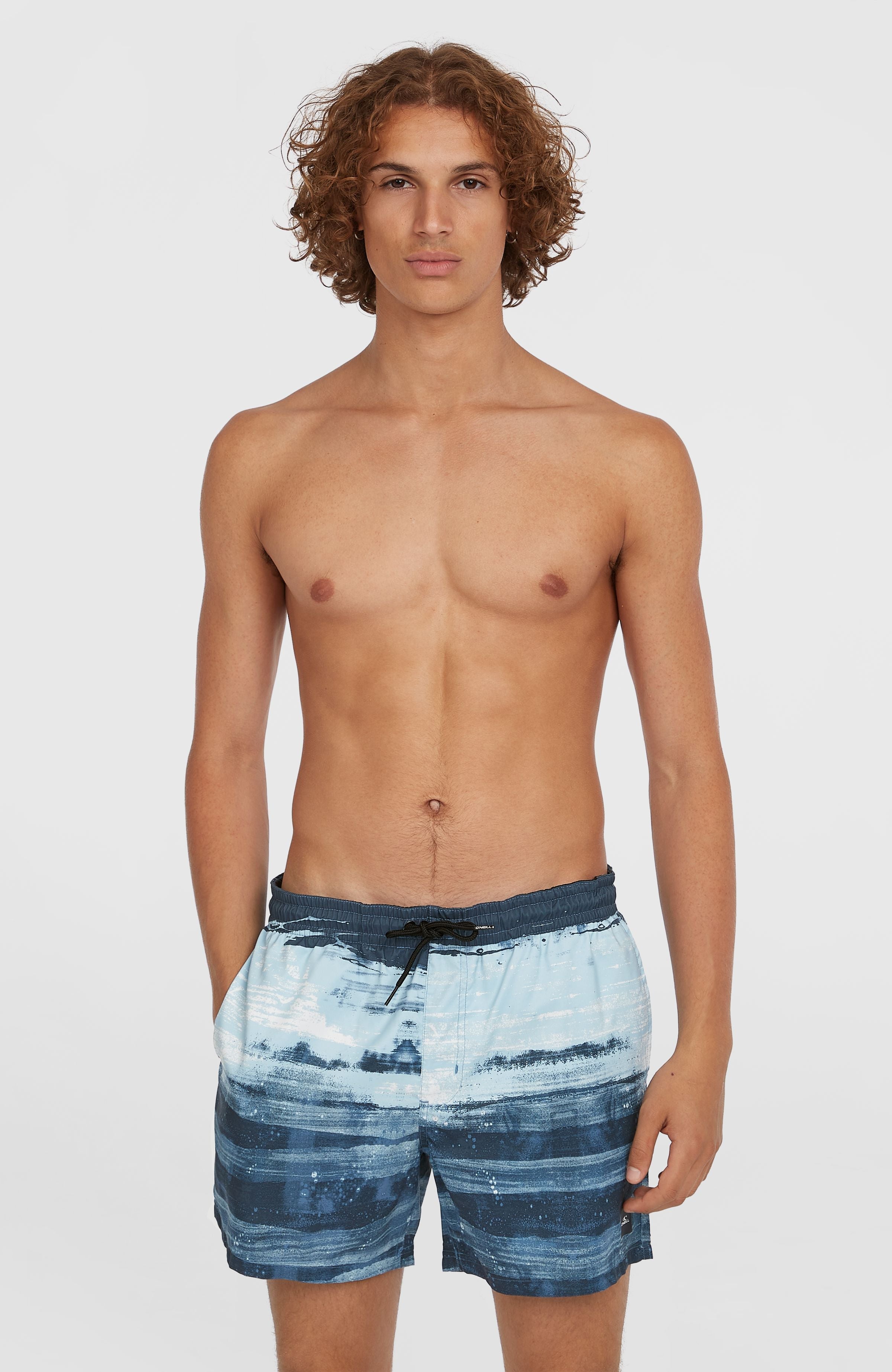Mens Cali Gradient 14 Inch Swim Shorts
