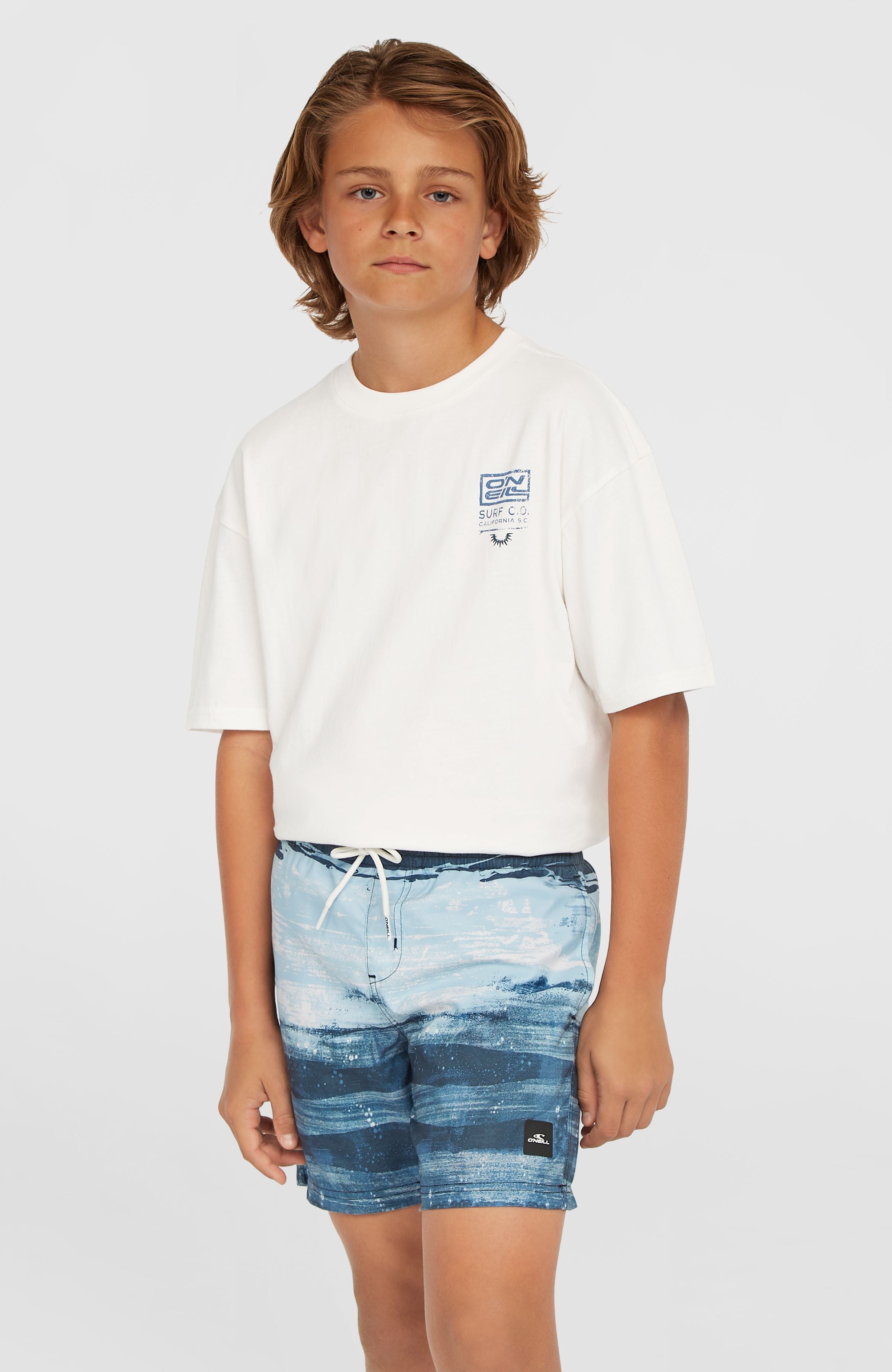 Boys Cali Gradient 14 Inch Swim Shorts