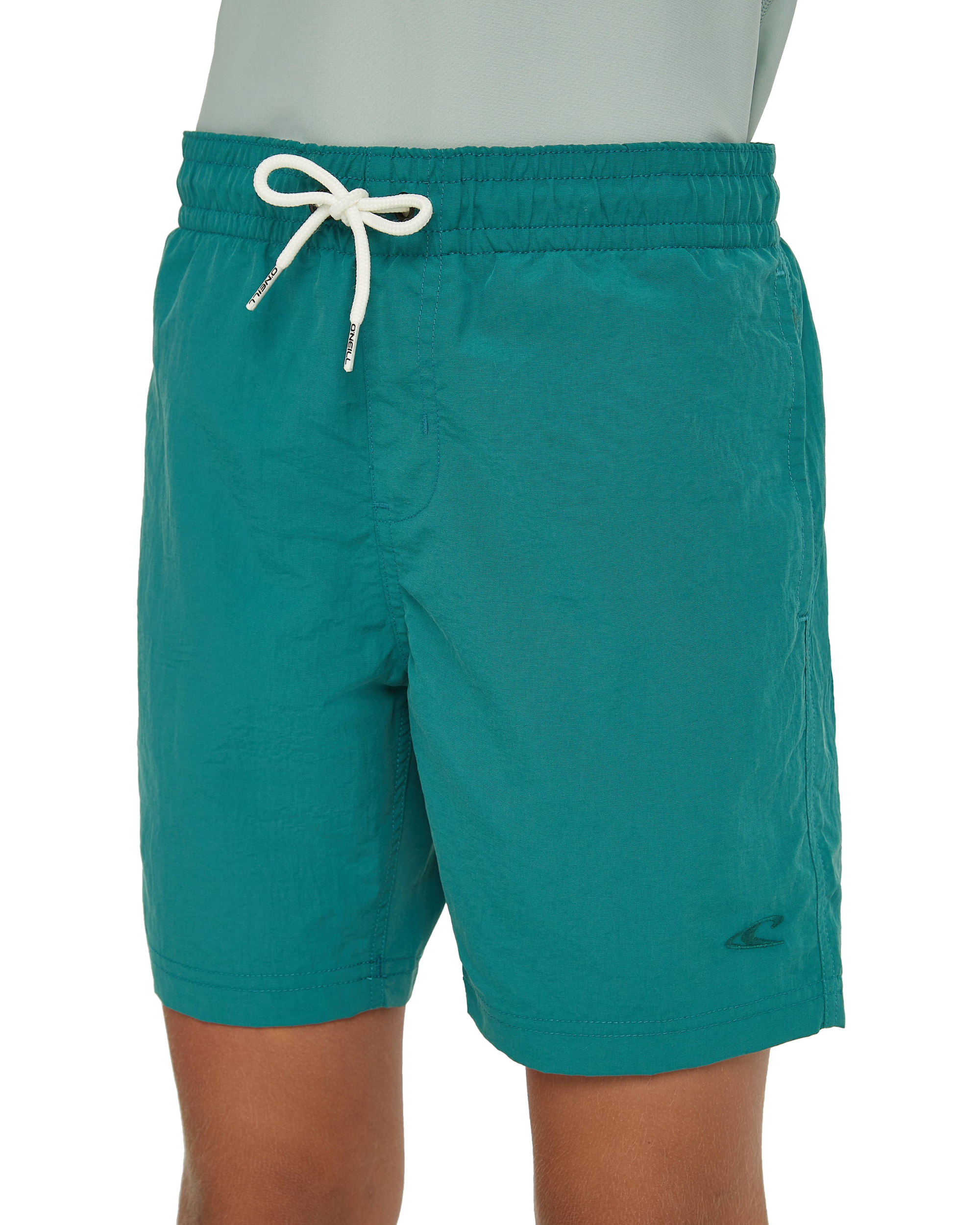 O'Neill Junior Vert Swimshorts