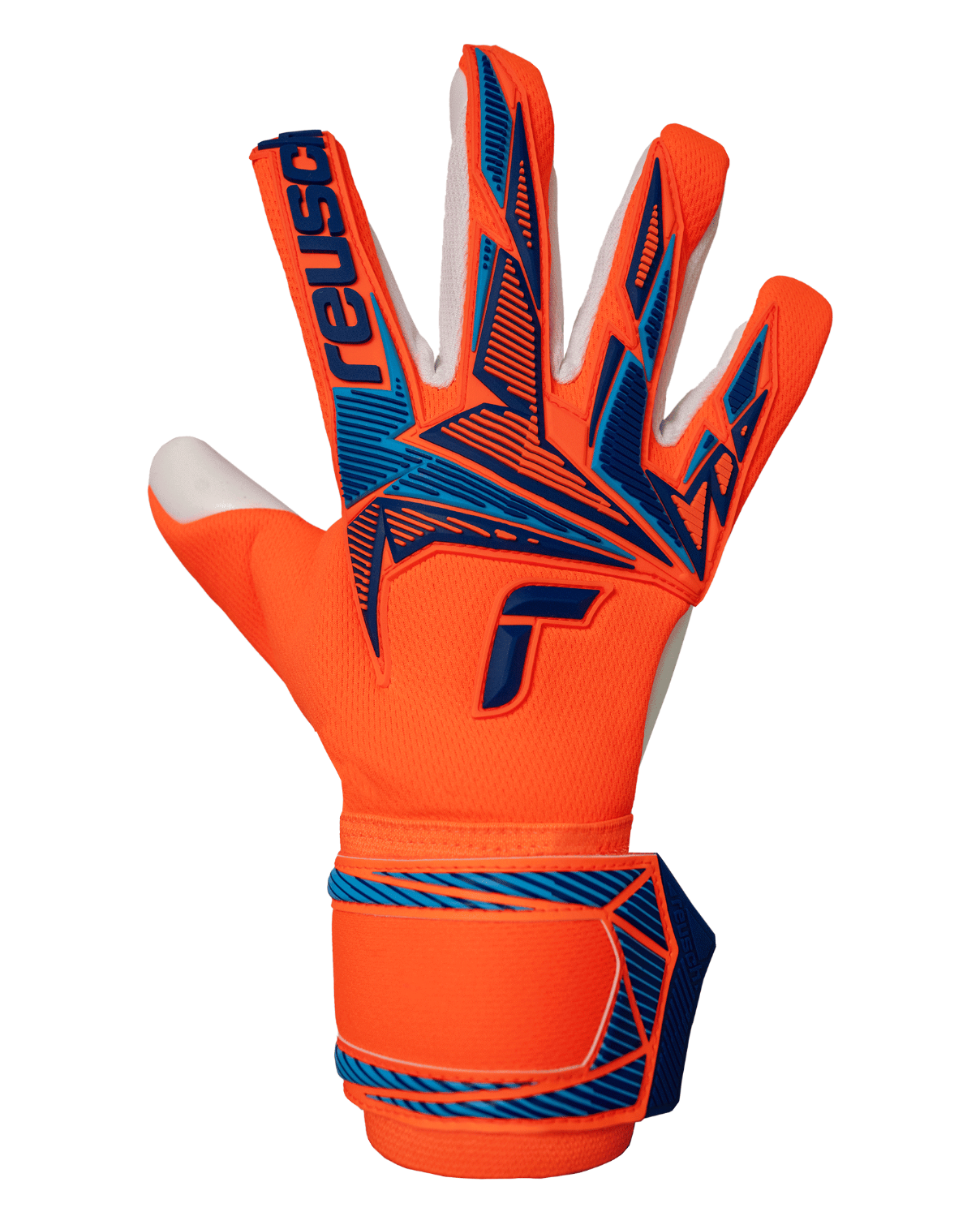 Senior Attrakt Freegel Advance Goalkeeper Gloves