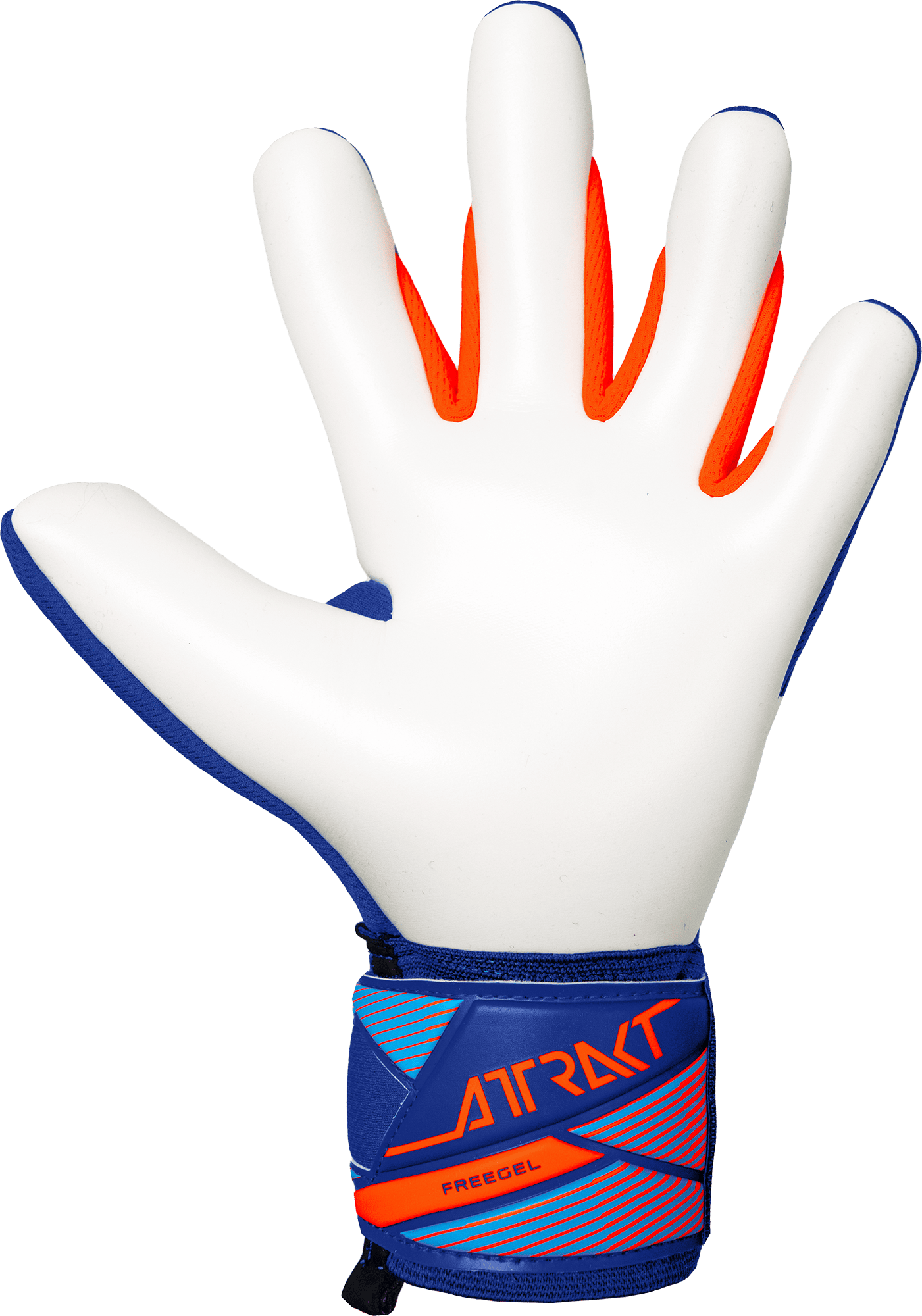 Senior Attrakt Freegel Advance Goalkeeper Gloves