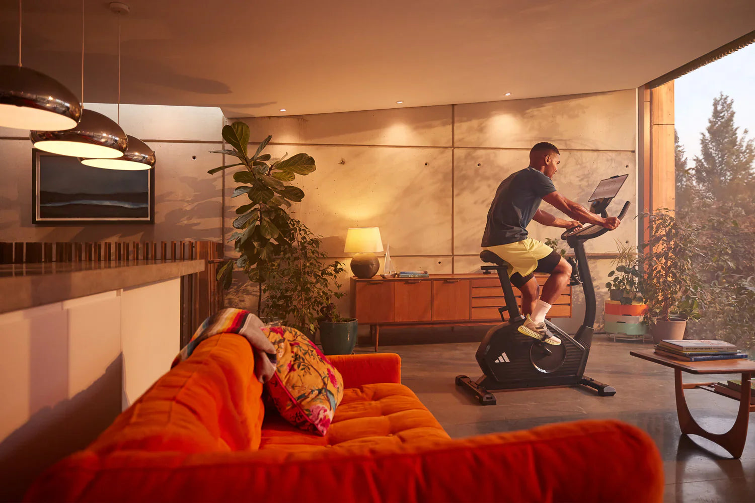 C-24C Upright Bike