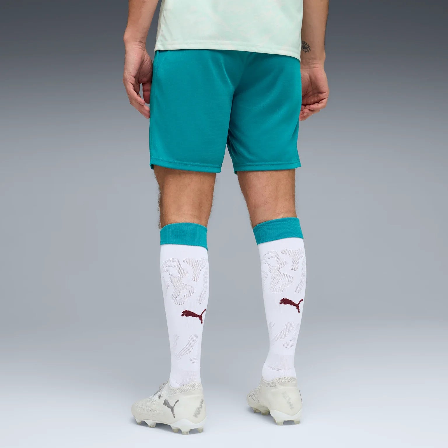 Mens Portugal FPF Home 25/26 Replica Shorts