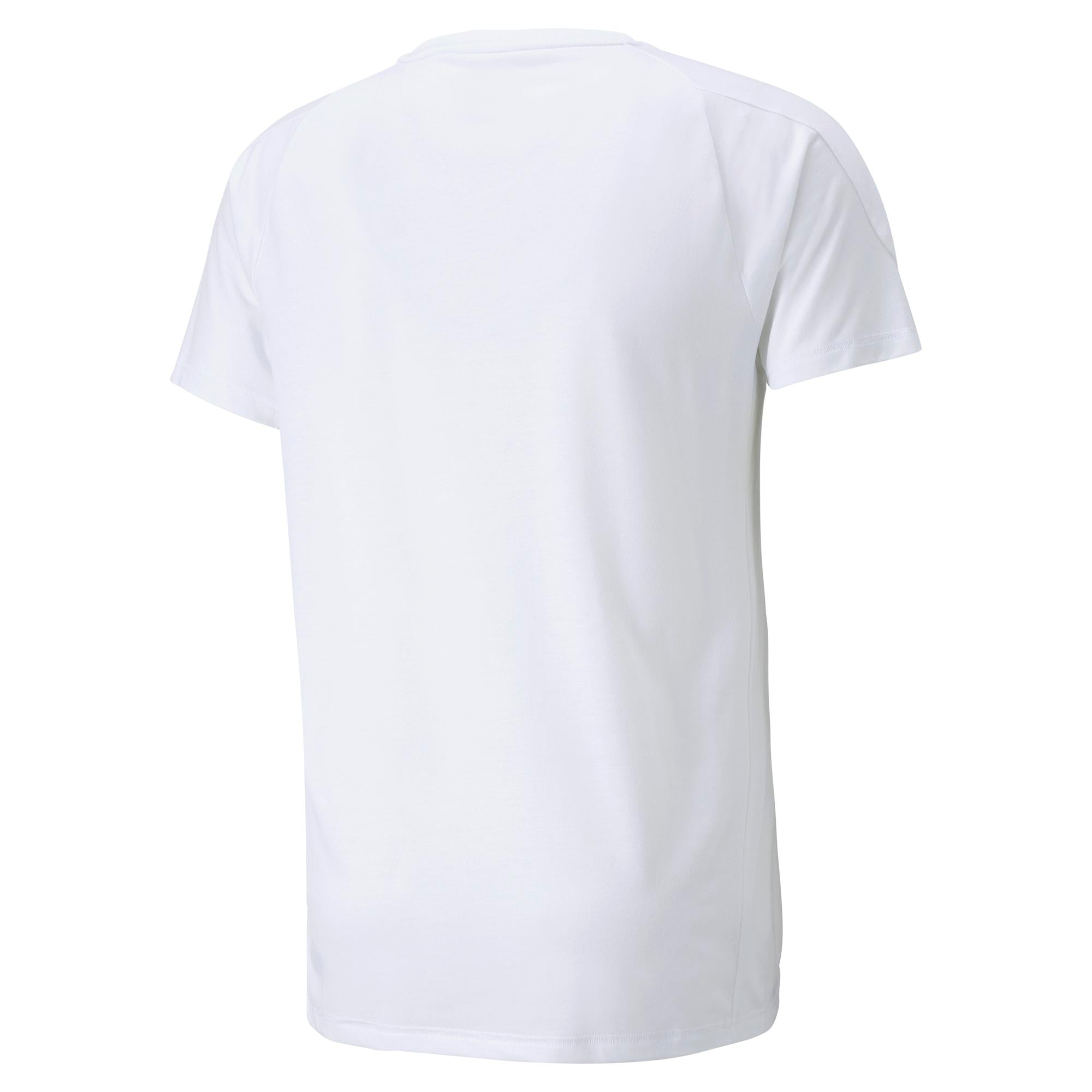 Mens Evostripe Short Sleeve T-Shirt