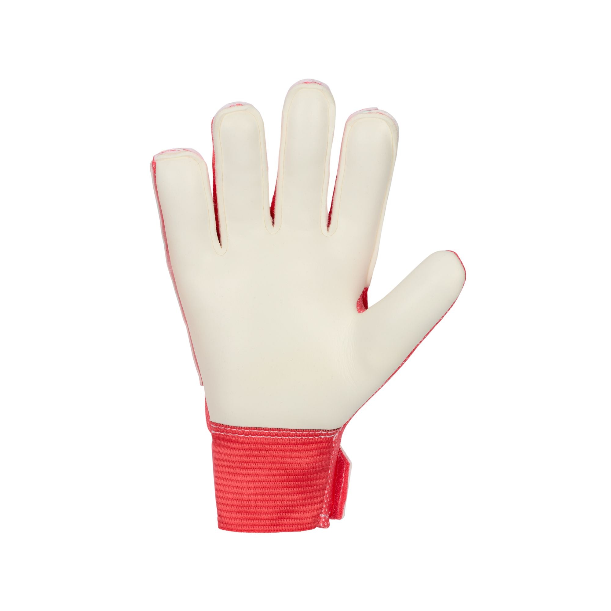 Junior Match Goalkeeper Gloves