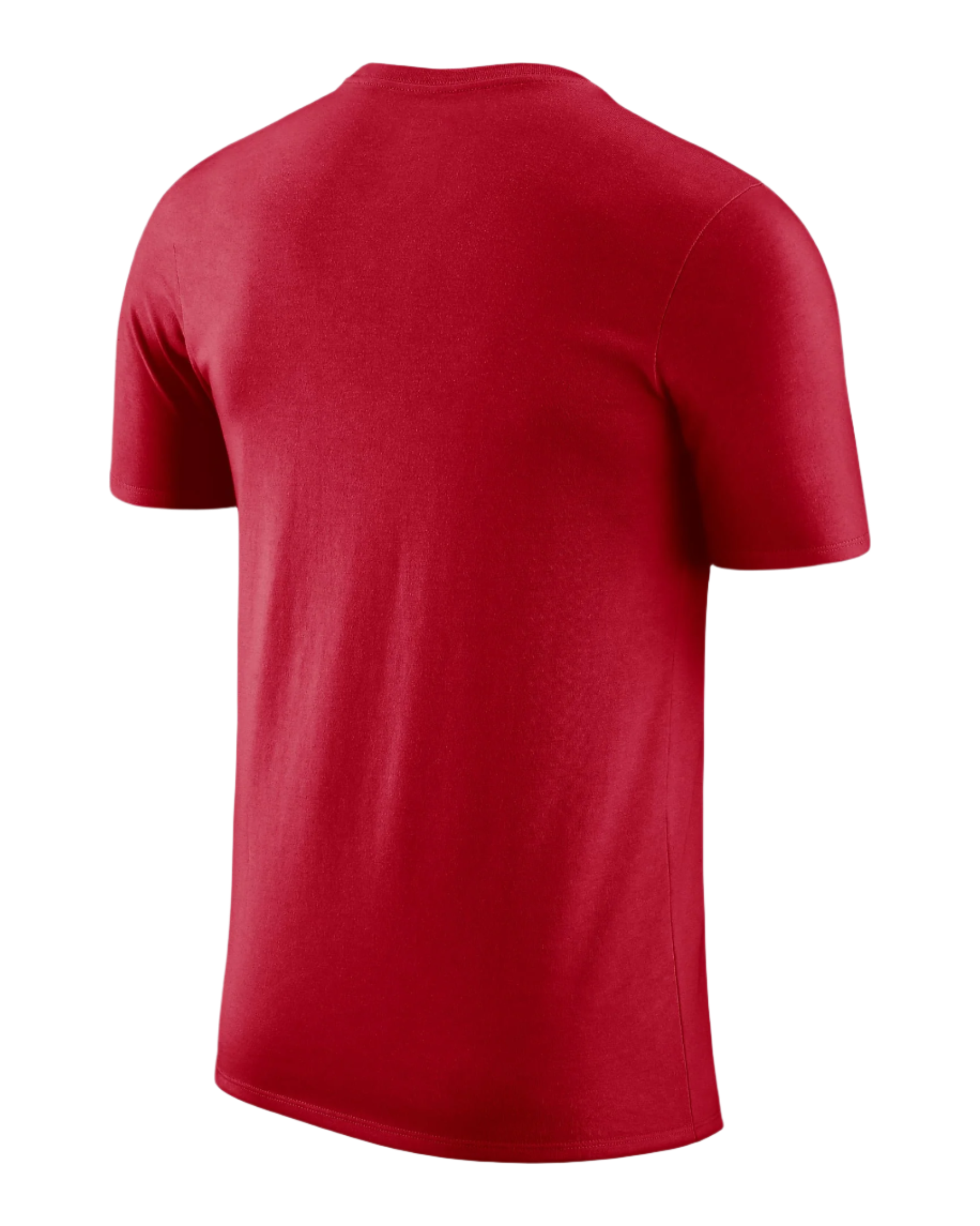 Mens Chicago Bulls Icon Practice24 T-Shirt