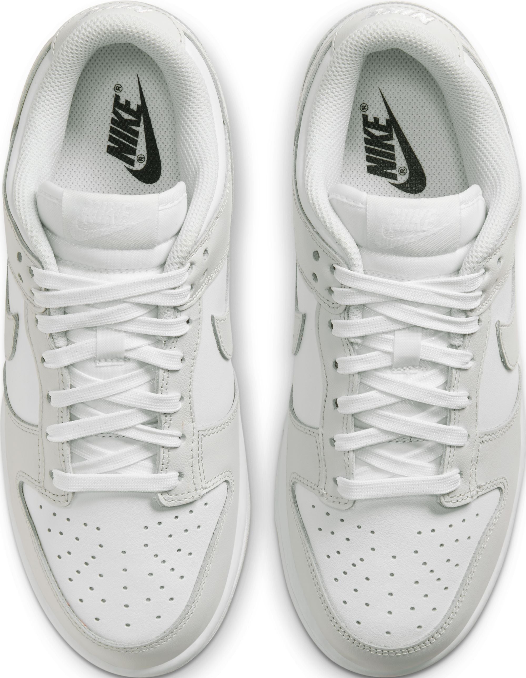 Womens Dunk Low Shoe
