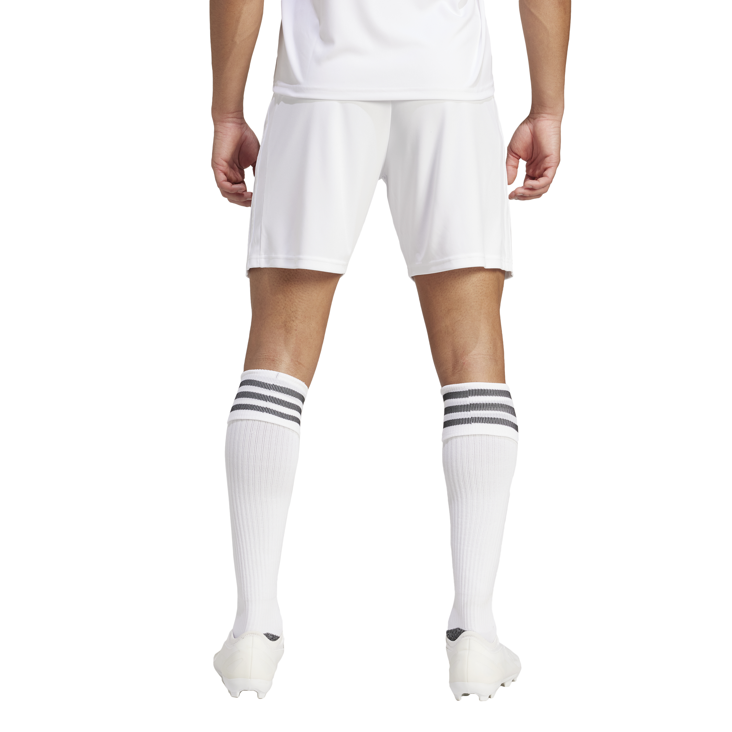 Mens SQUADRA  21 Shorts