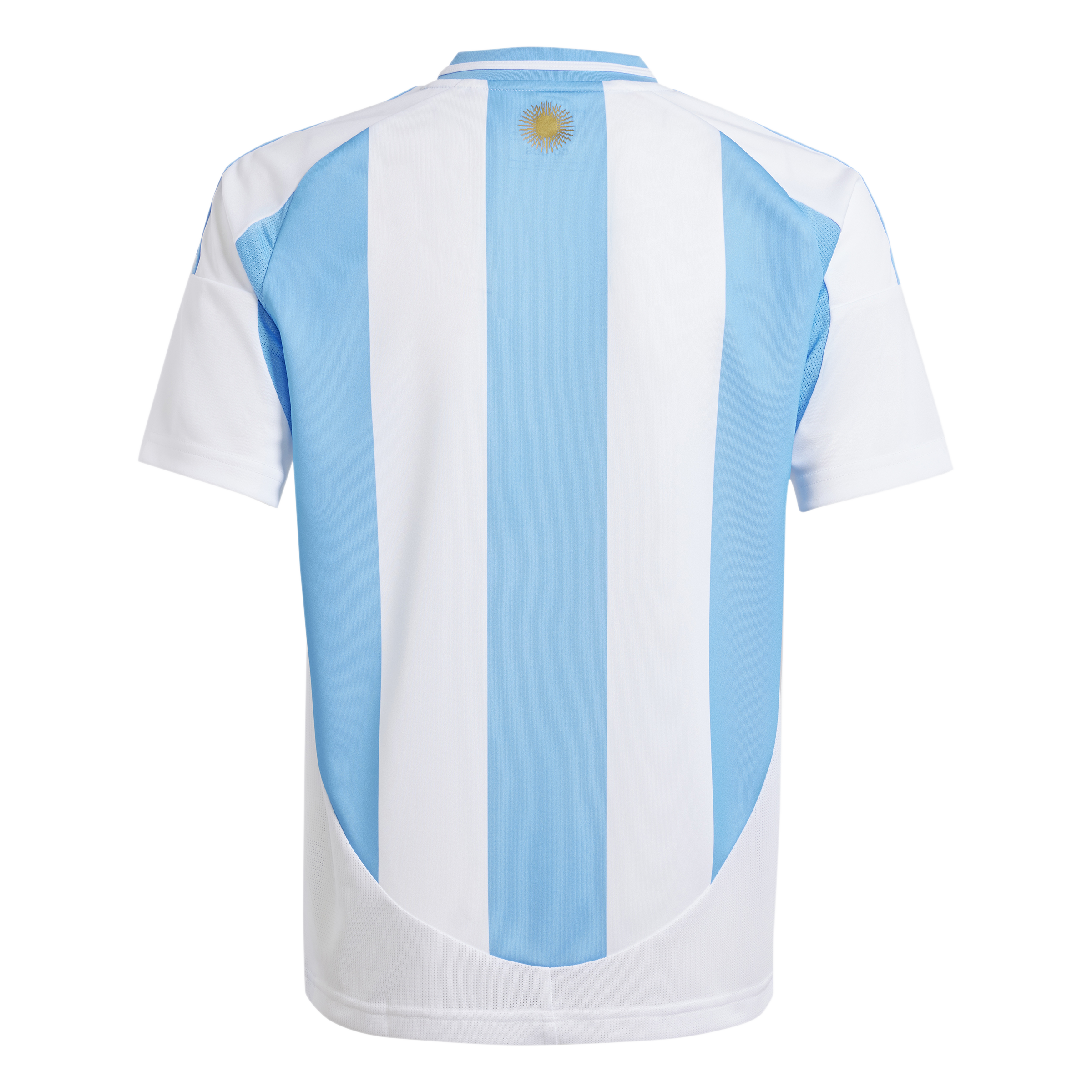 Junior Argentina AFA Home 24/25 Replica Jersey