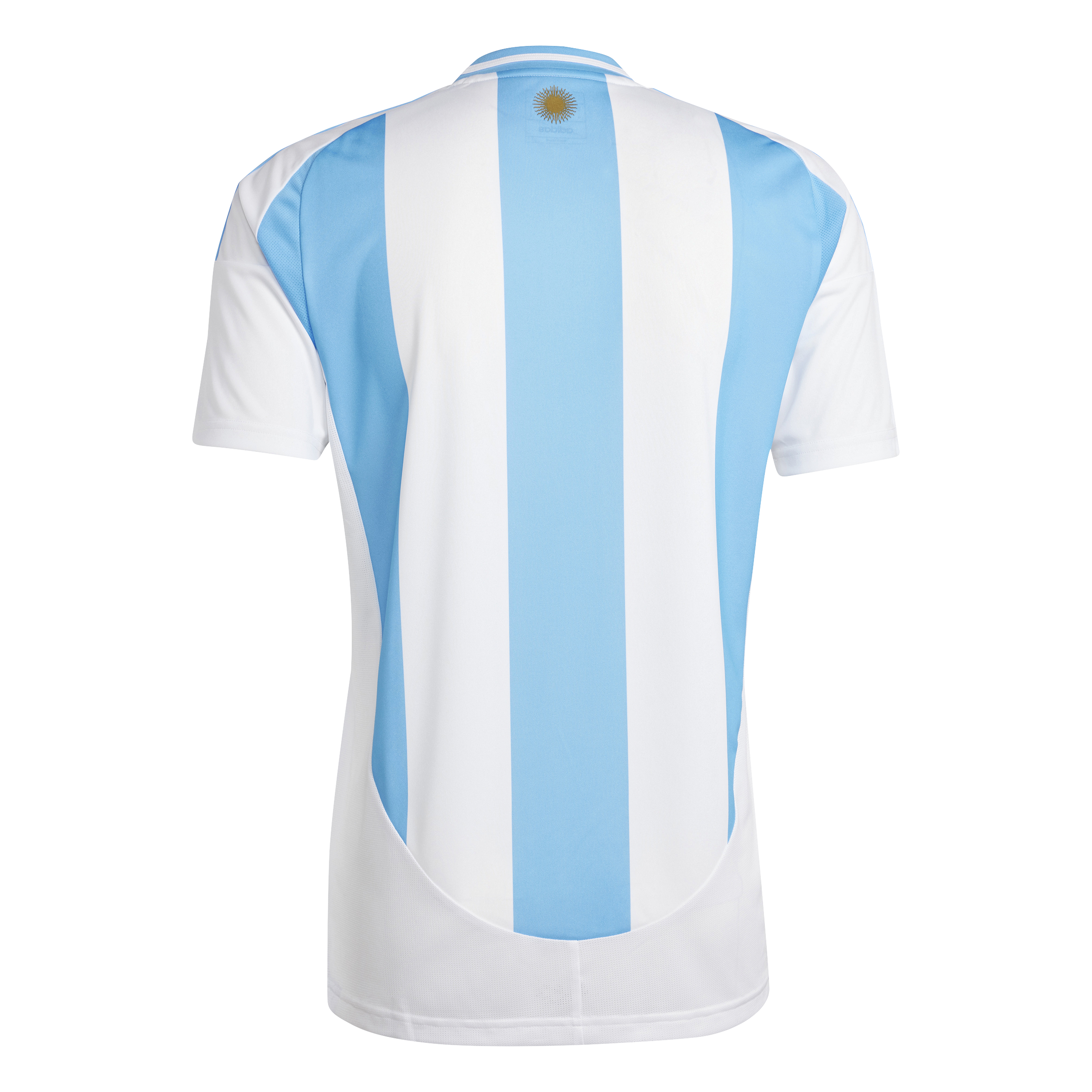 Mens Argentina AFA Home 24/25 Replica Jersey