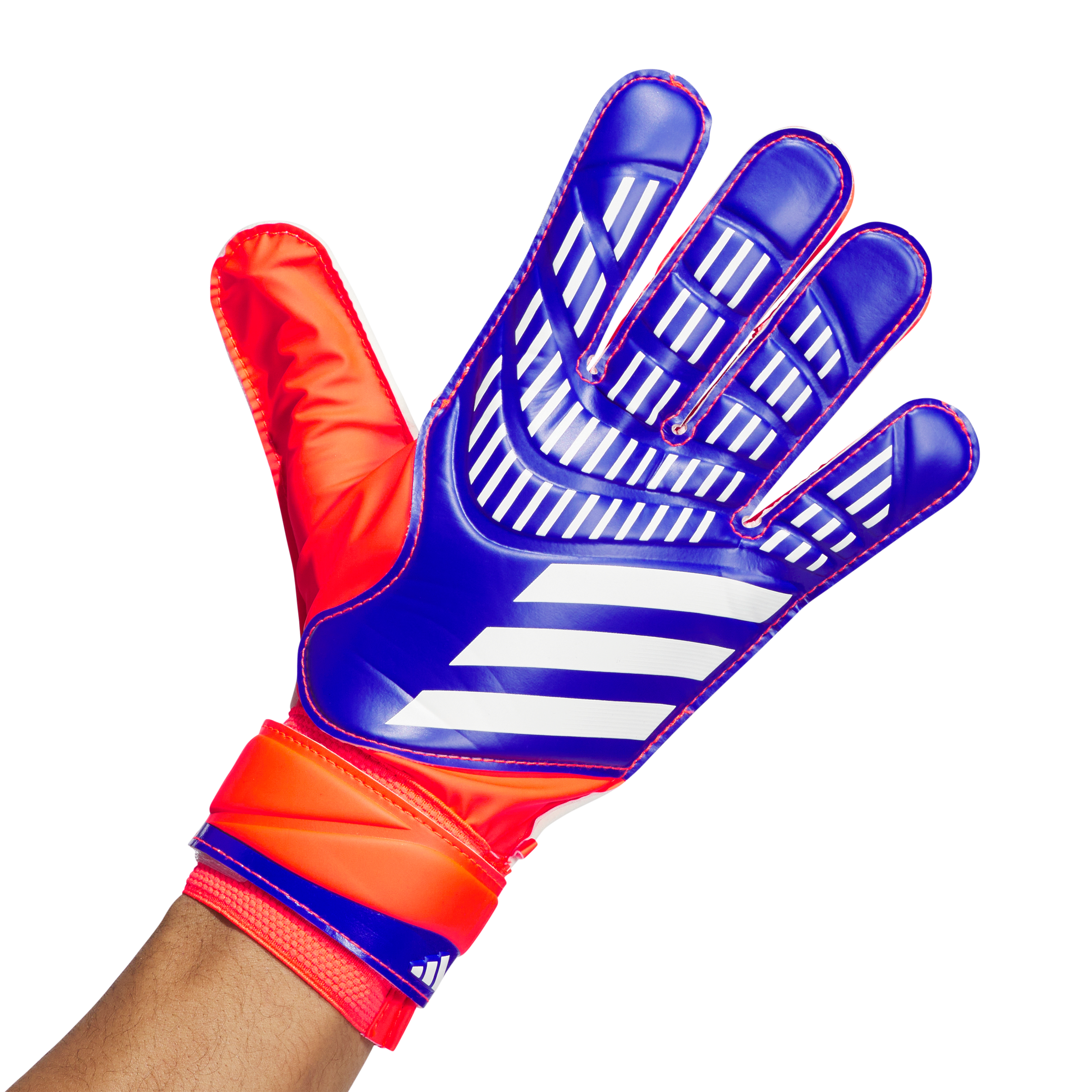 Senior Predator Train Goalkeeper Gloves