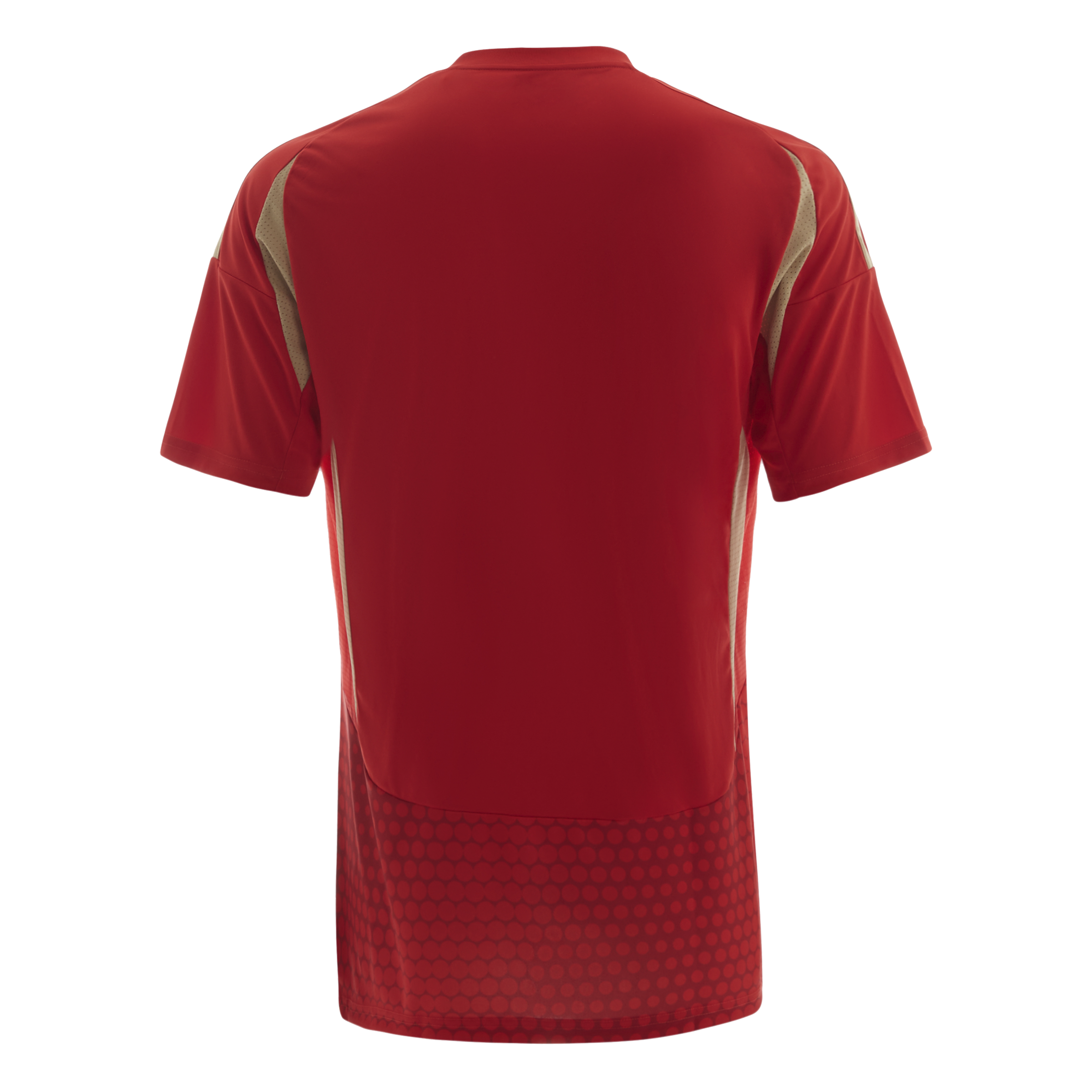 Mens Al Ahly Cairo 24 Home Jersey