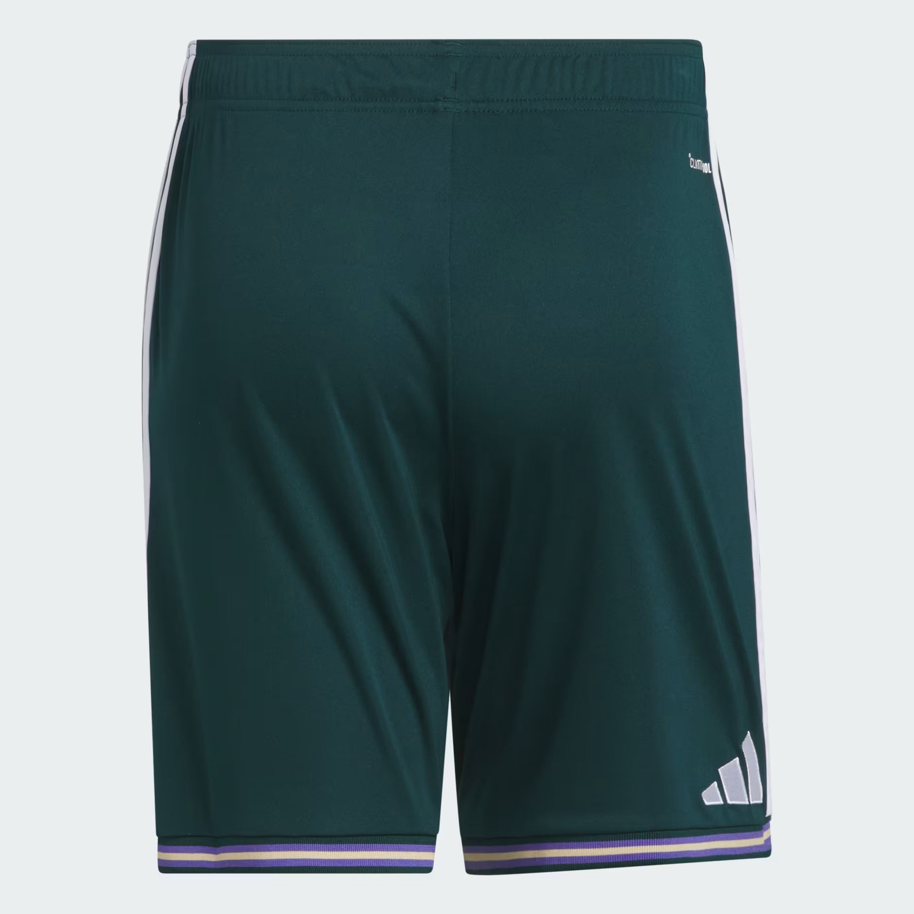 Mens Saudi Arabia SAFF Home 25/26 Replica Short