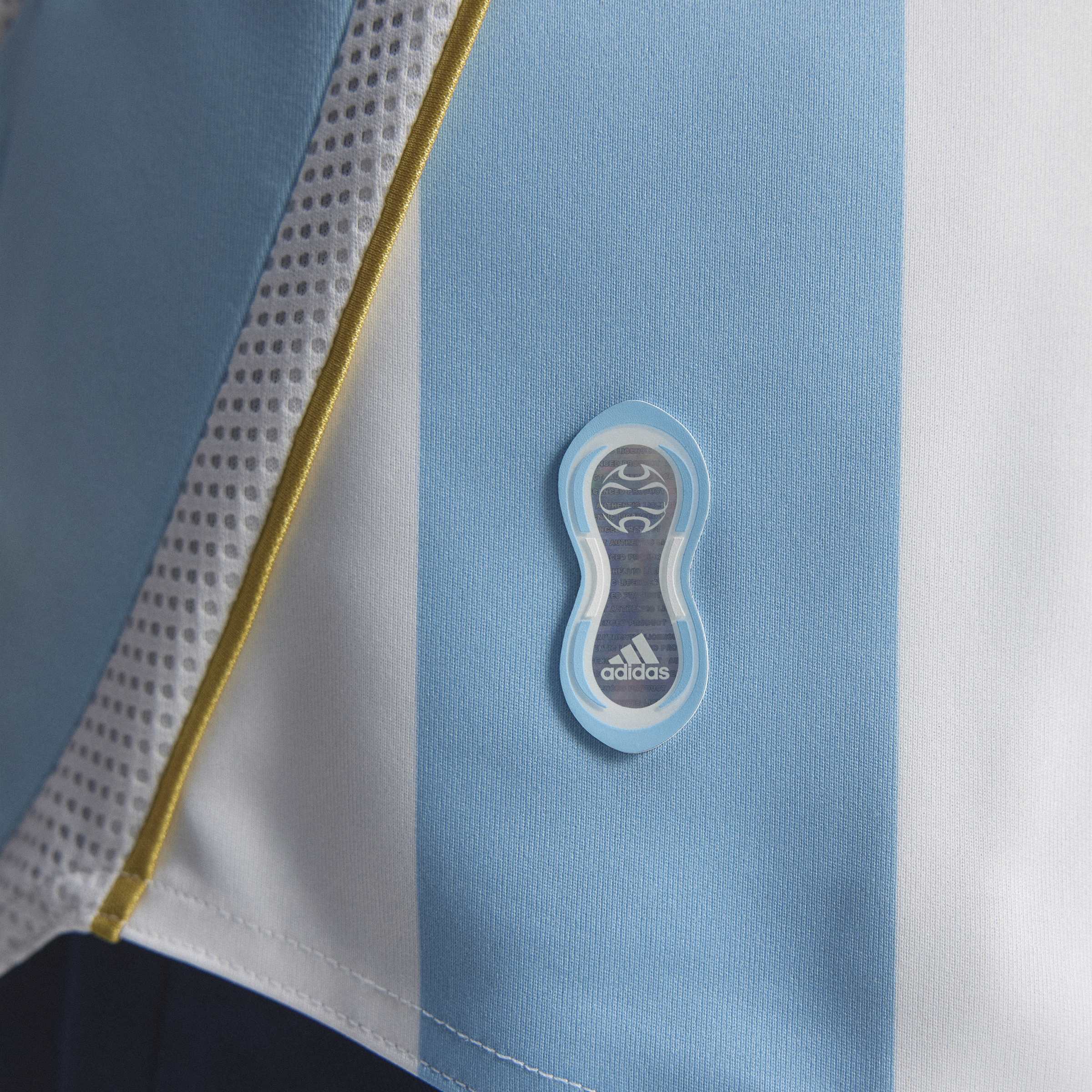 Mens Argentina AFA 2006 BB Replica Jersey
