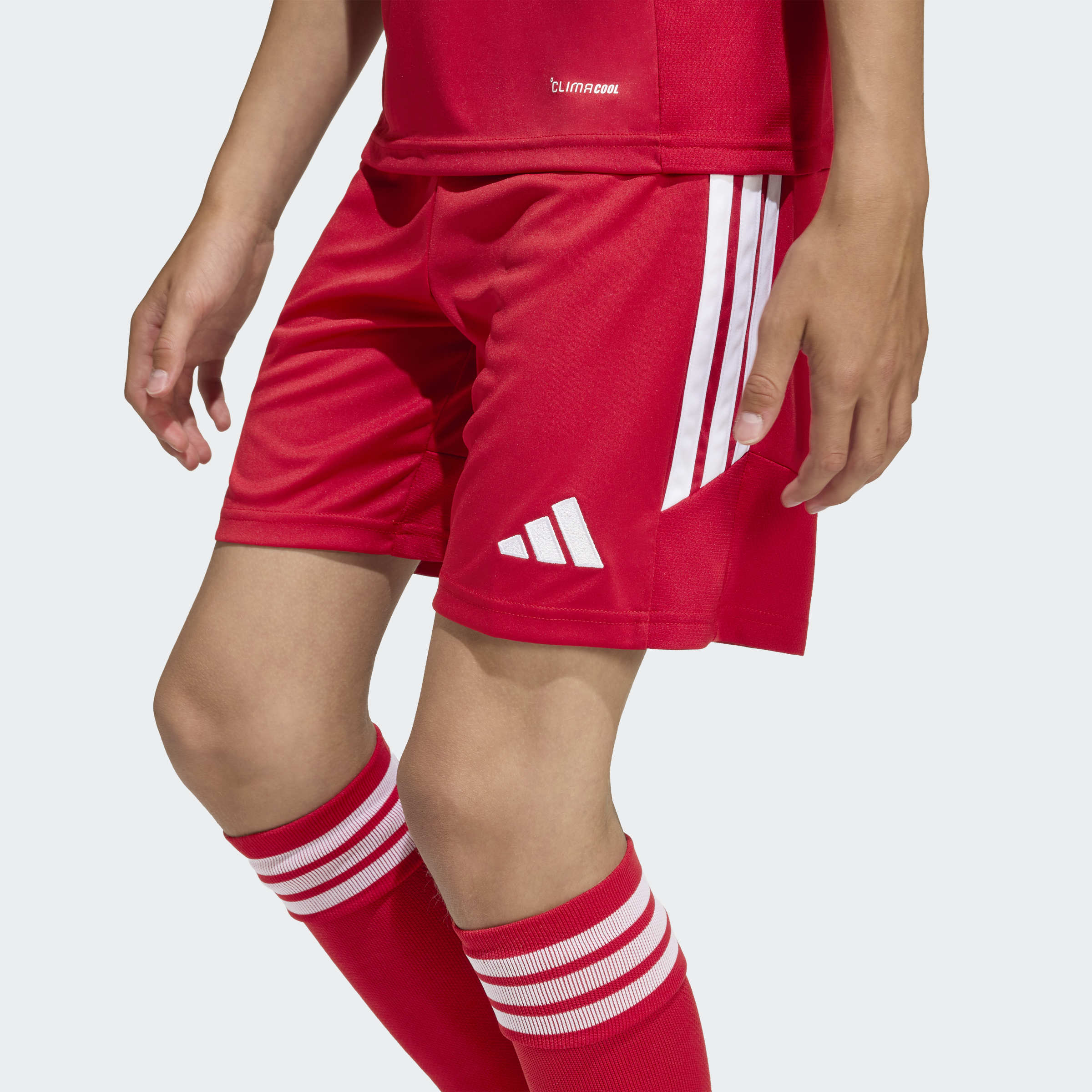 Junior Tiro 26 League Training Shorts