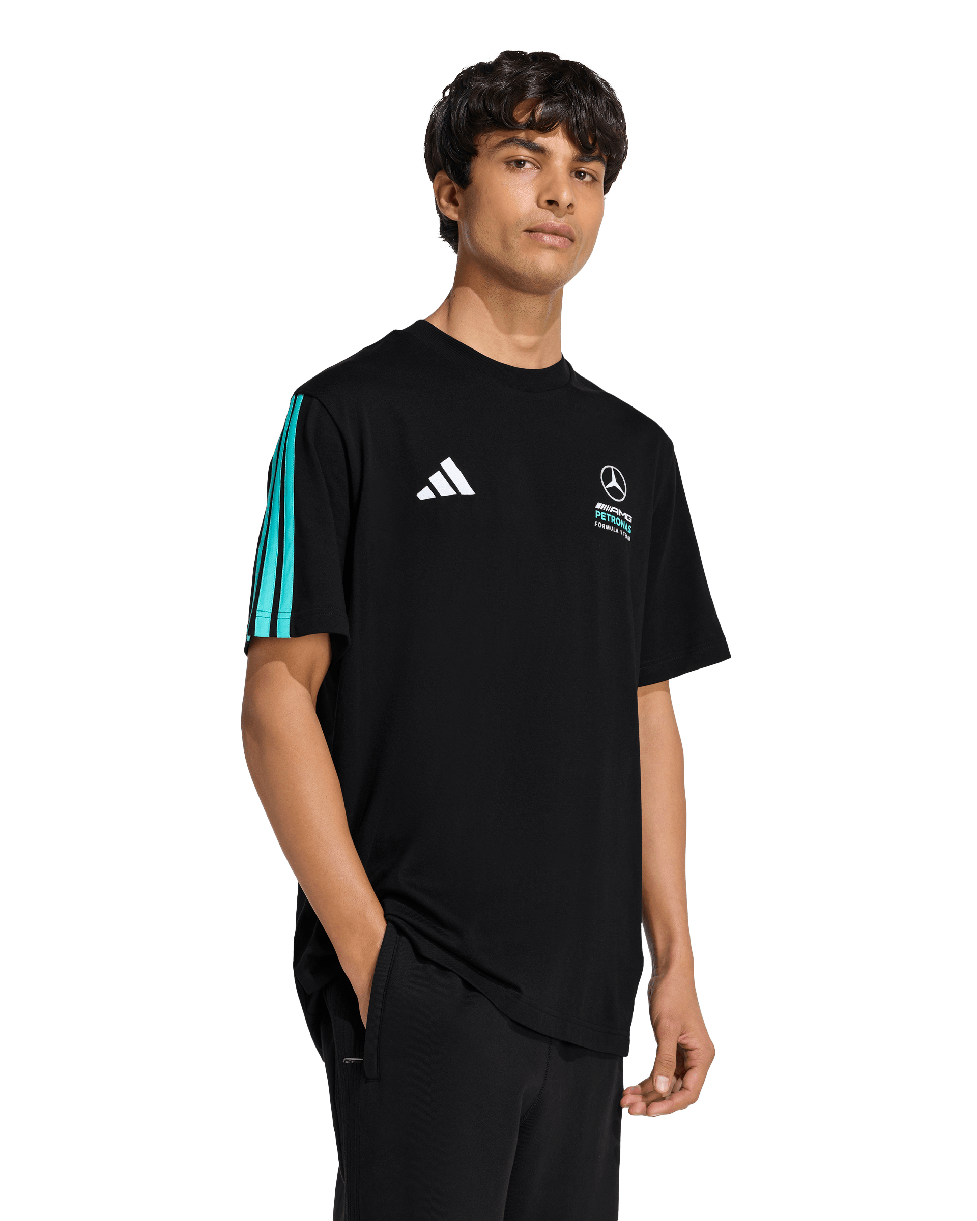 Mens Mercedes Amg F1 Team Dna T-Shirt