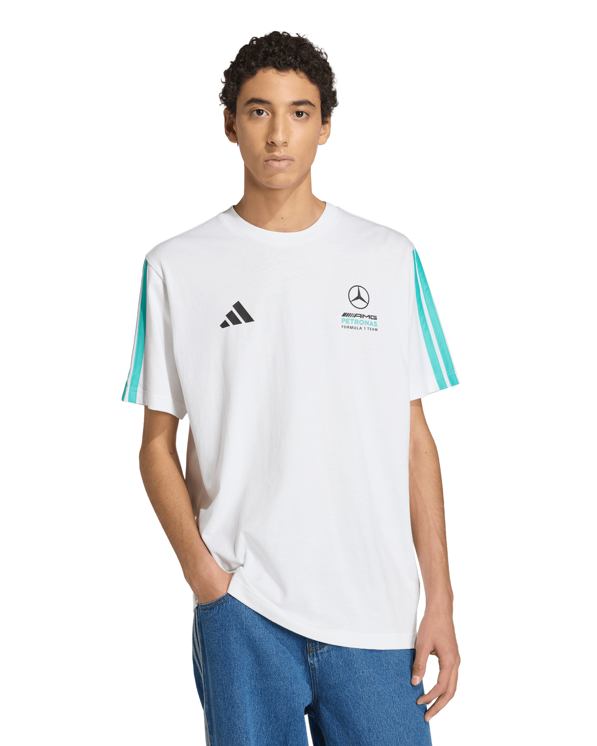 Mens Mercedes Amg Petronas F1 Team Dna T-Shirt