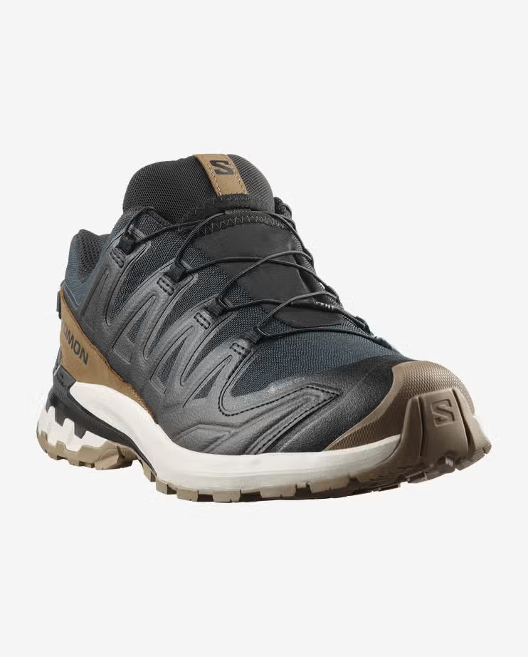 Mens XA Pro 3D V9 GTX Trail Running Shoe