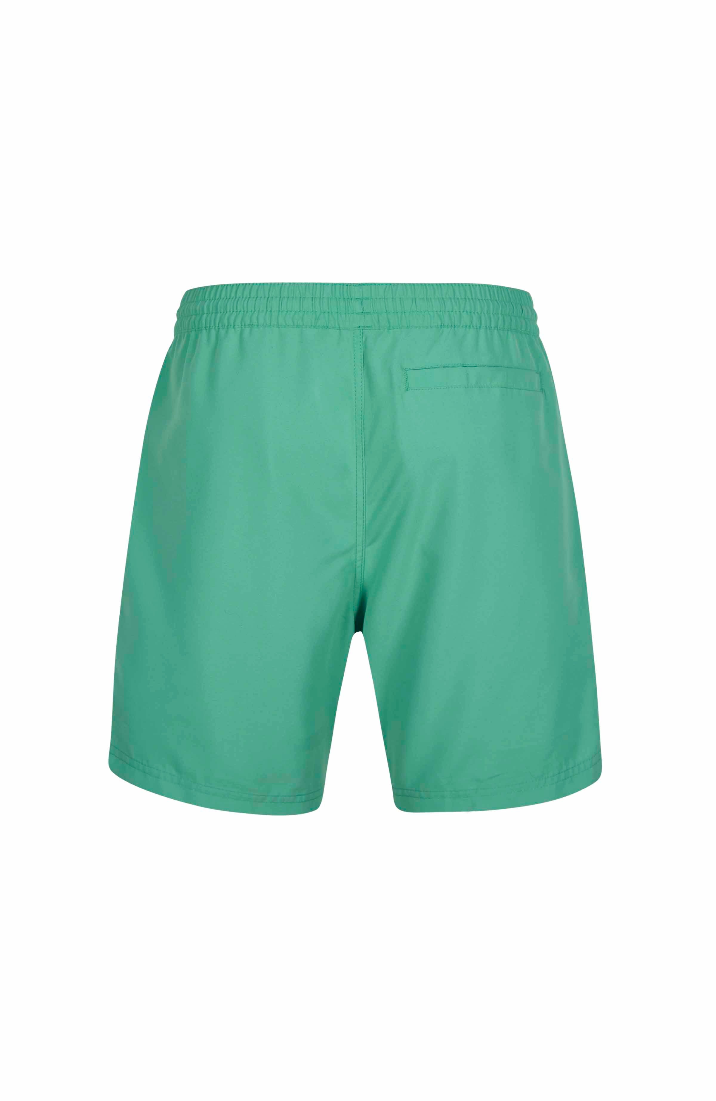 Mens Original Cali 16 Inch Water Shorts