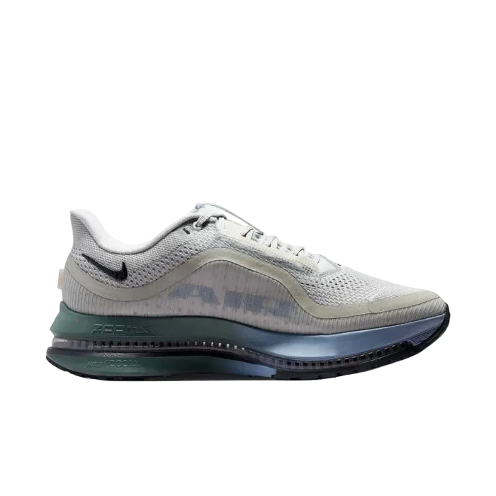 Mens Pegasus Premium Running Shoes