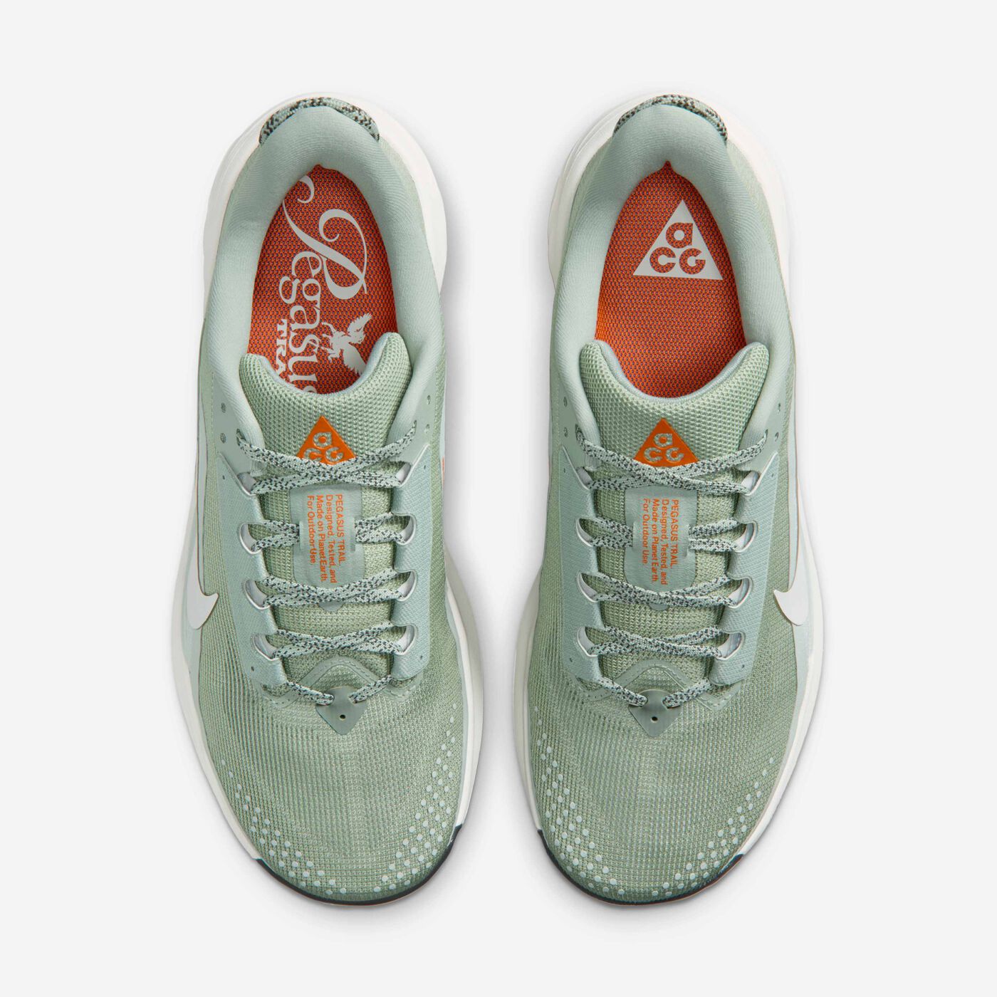 Mens ACG Pegasus Trail Running Shoe