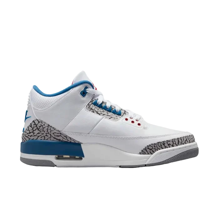 Mens Air Jordan 3 Retro OG Shoe