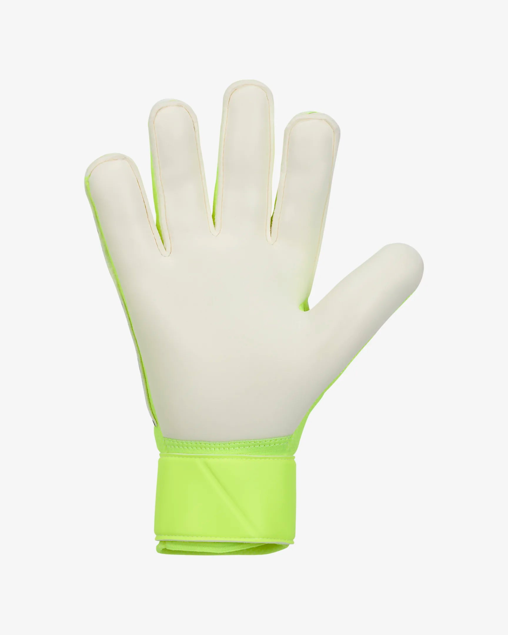 Senior Match Goalkeeper Gloves