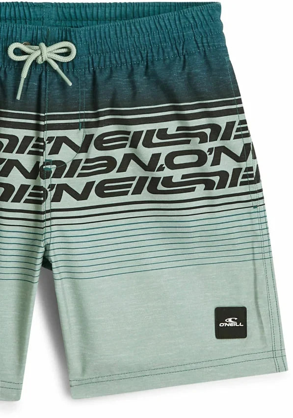 O'Neill Junior Logo Stripe Swimshorts