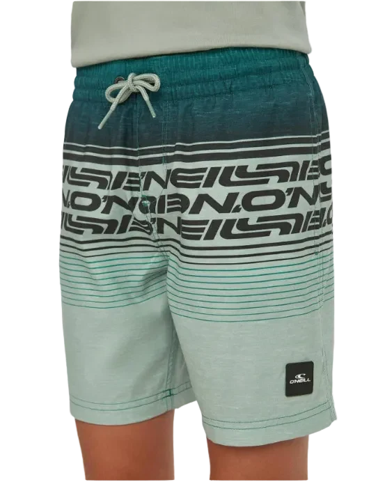 O'Neill Junior Logo Stripe Swimshorts