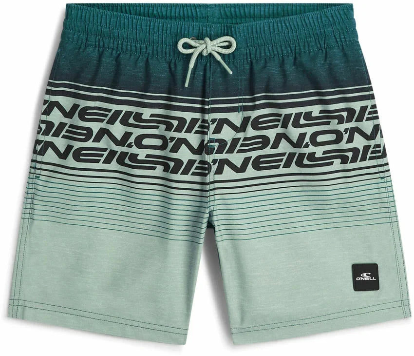 O'Neill Junior Logo Stripe Swimshorts