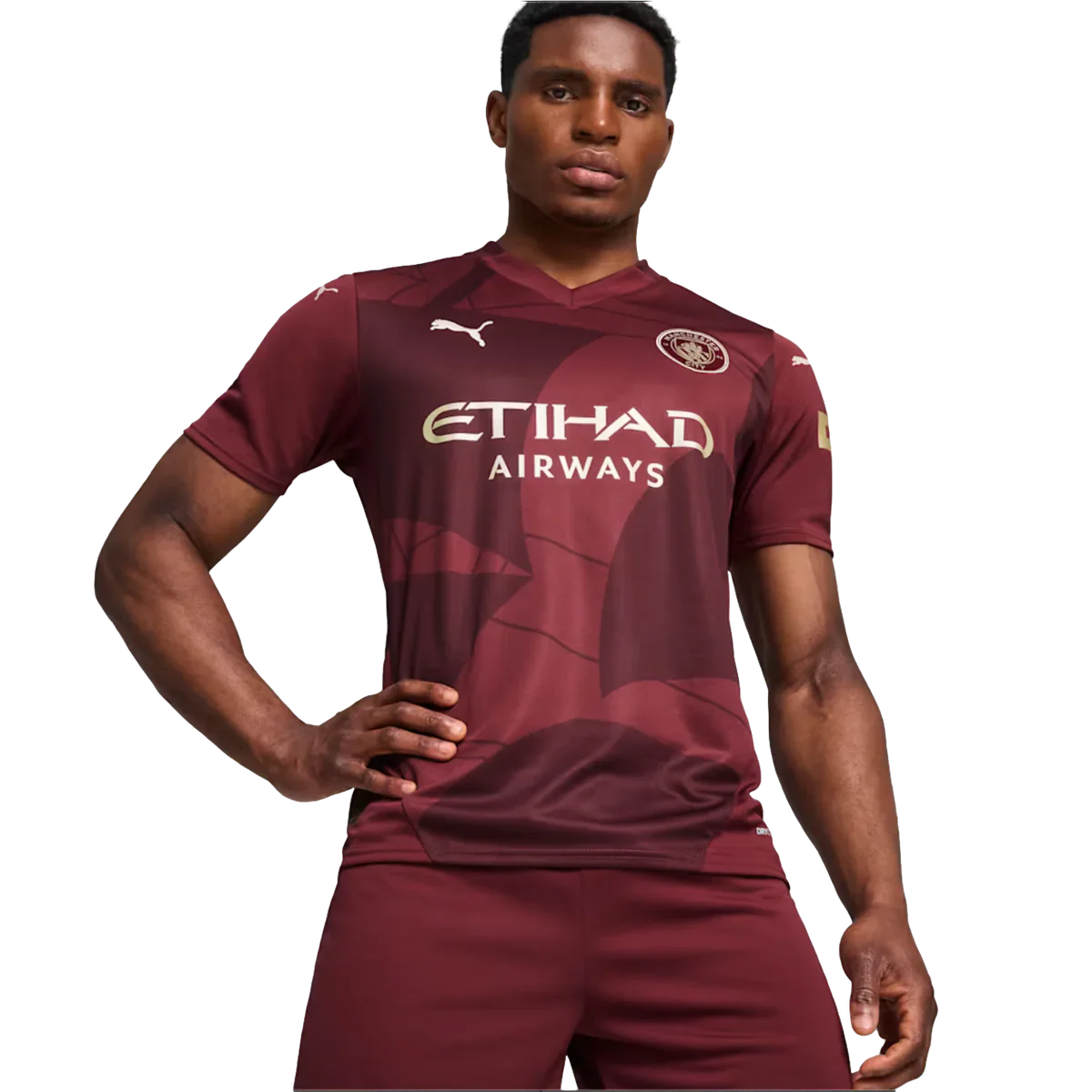 Mens Manchester City 3rd Kit Replica Jersey 24/25