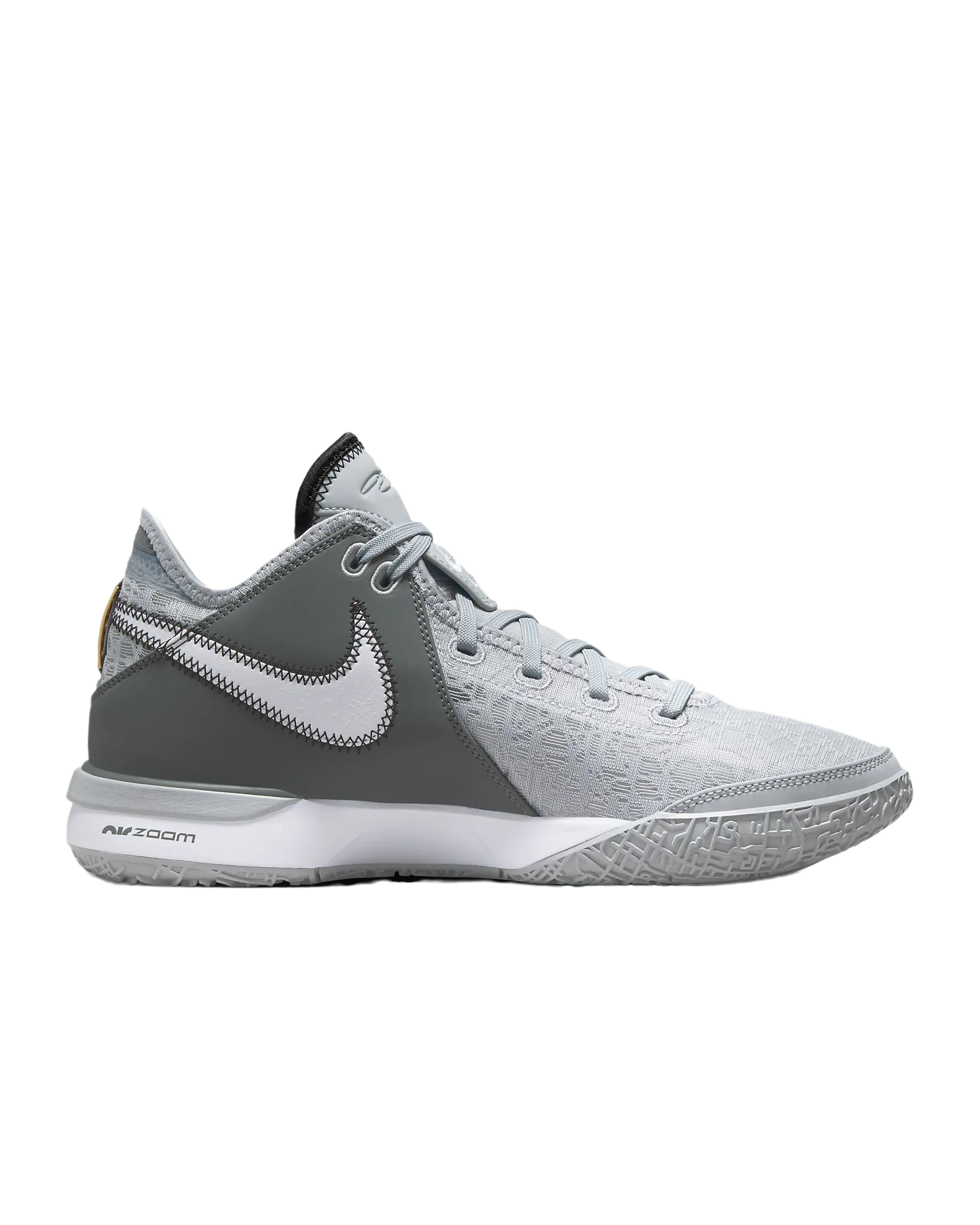 Mens Zoom Lebron NXXT Gen Basketball Shoes