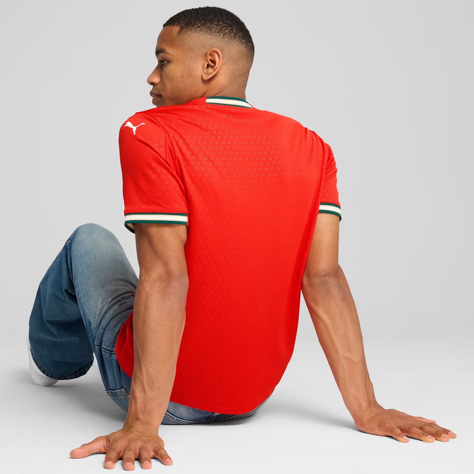 Mens Portugal FPF Home 25 Replica Jersey