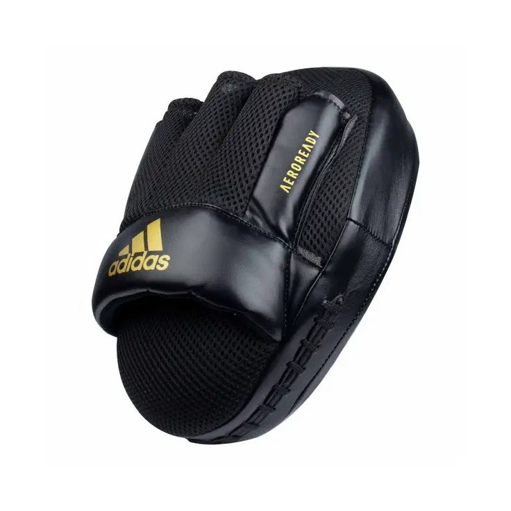 Speed Coach Boxing Mitts