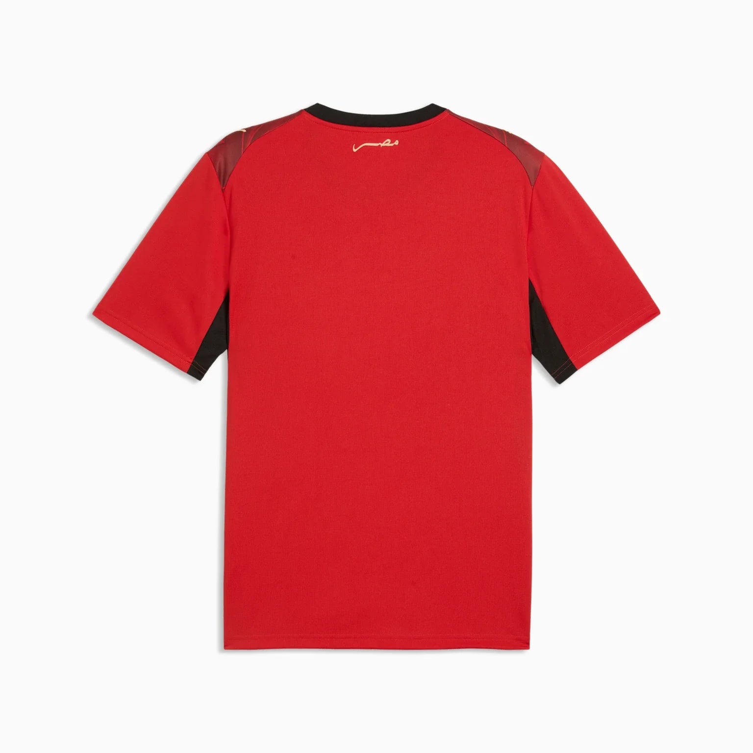 Mens Egypt EFA Home 25/26 Replica Jersey