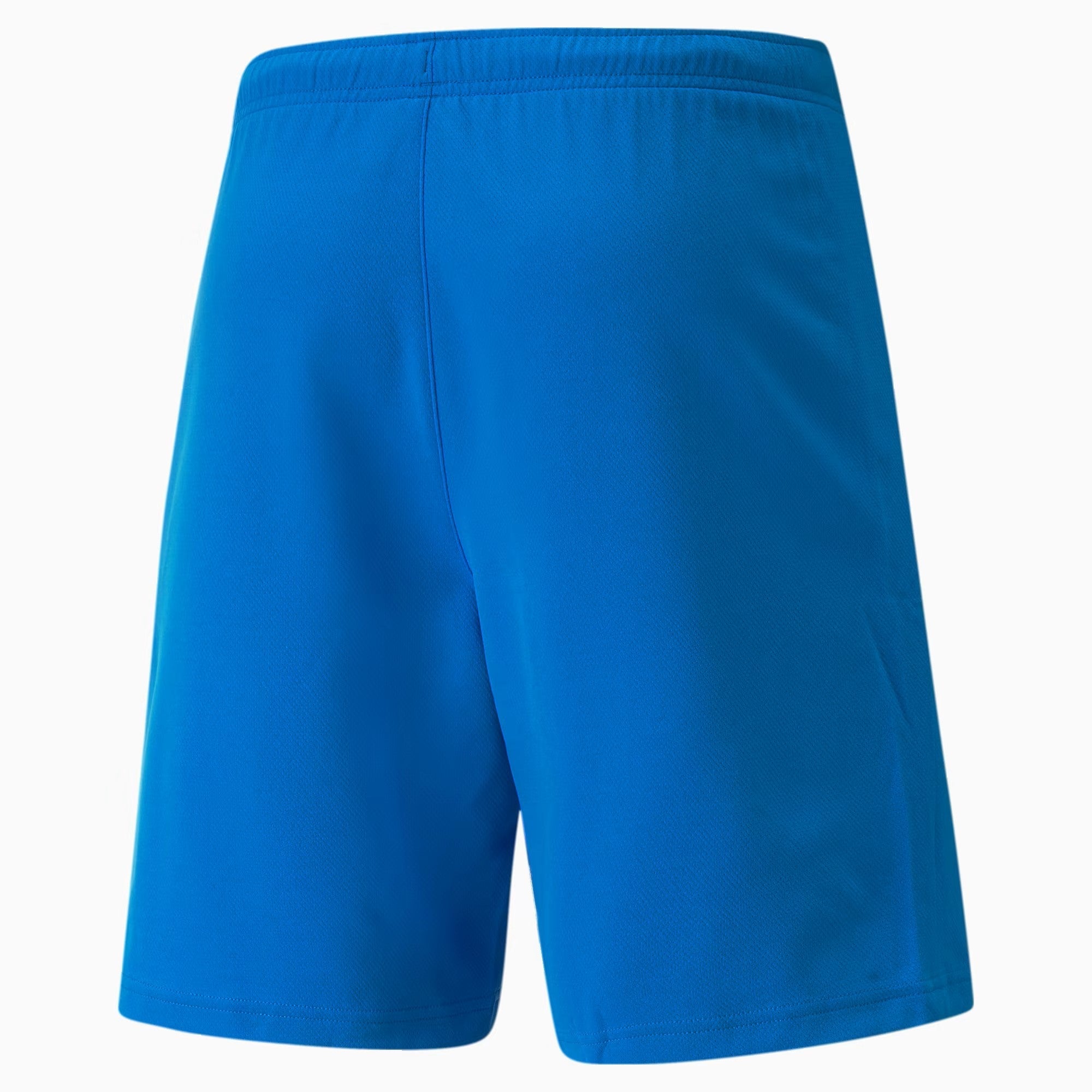 Mens TeamRISE Shorts