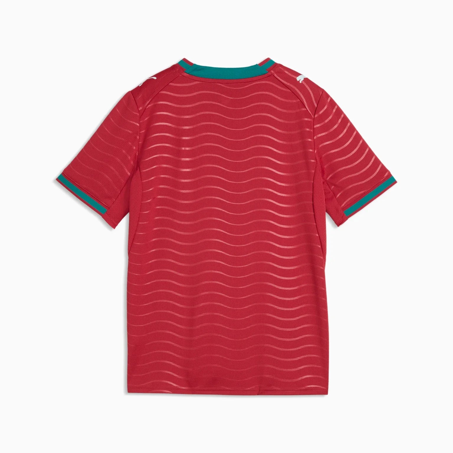 Junior Portugal FPF Home 25/26 Replica Jersey