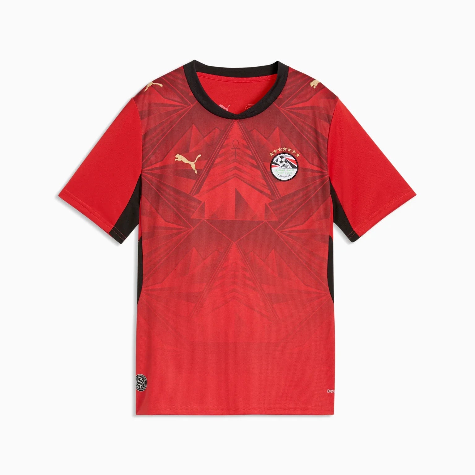 Junior Egypt EFA Home 25/26 Replica Jersey