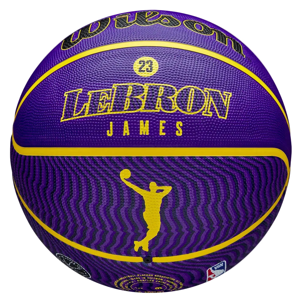 NBA Lebron James Icon Outdoor Basketball