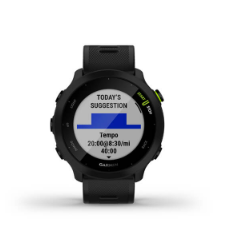 Forerunner 55 GPS EU Black